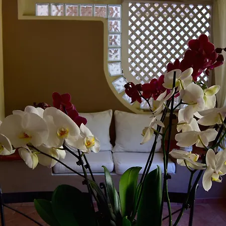 Villaggio Smeralda By Sardegna Smeralda 3*